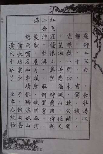 硬笔书法比赛一等奖获得者张雨馨作品