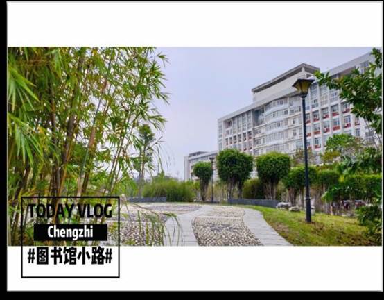 明信片设计比赛一等奖获得者叶子怡作品2